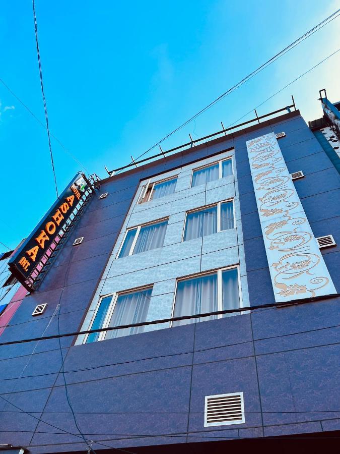 Ashoka Hotel Karol Bagh Delhi New Delhi Eksteriør billede